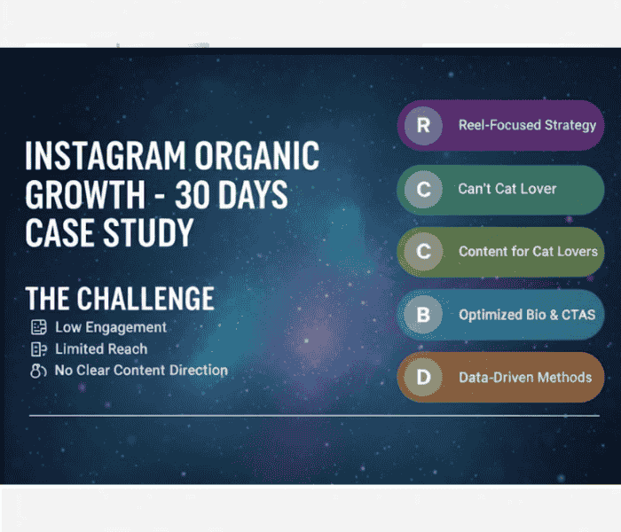 Instagram Organic Growth – 30 Days Case Study